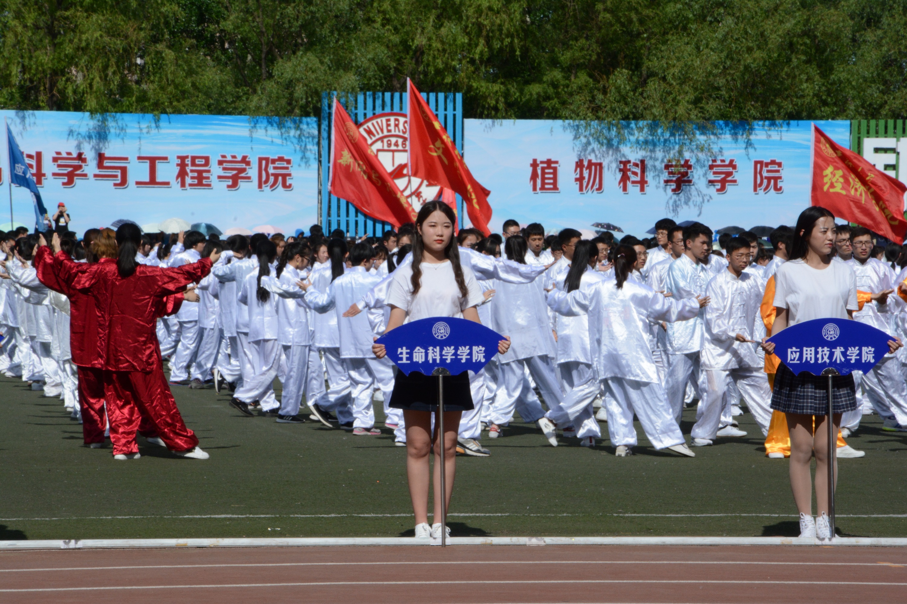 澳门六合彩开奖