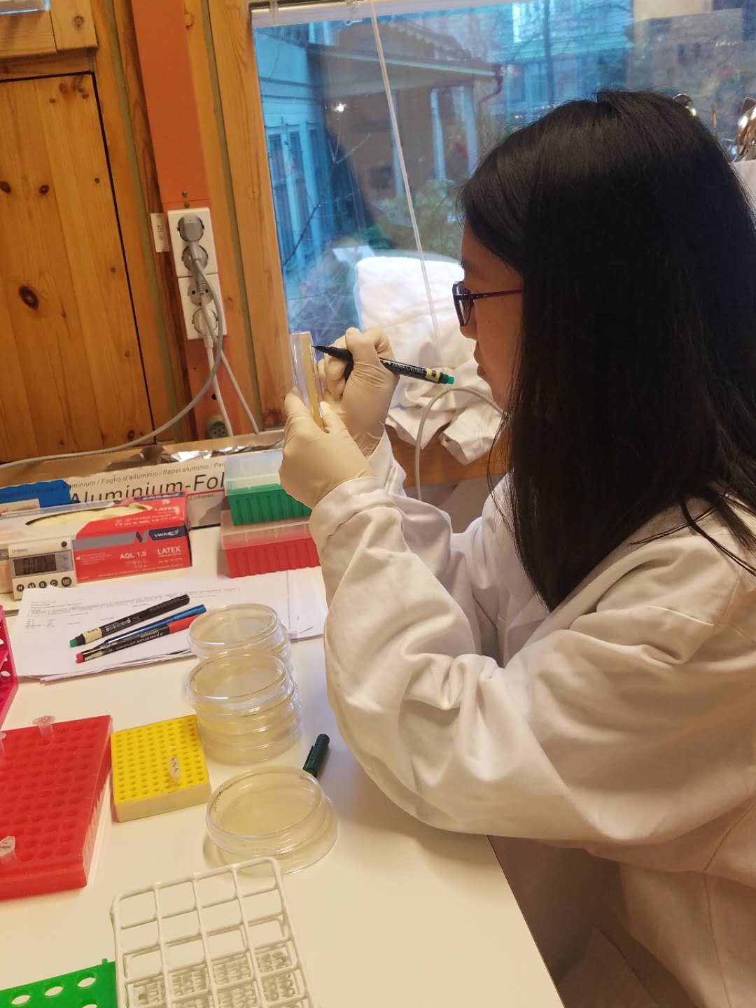 澳门六合彩开奖