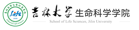 澳门六合彩开奖
