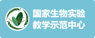 澳门六合彩开奖
